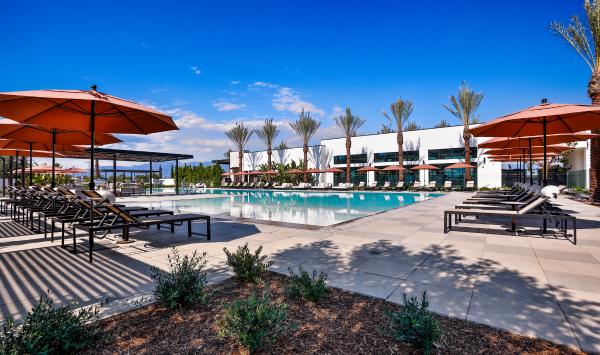 Sparkling pool and spa
