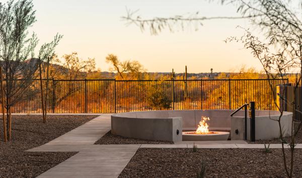 Fire pit for community use