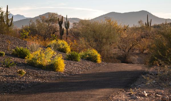 Pathway along Valle Norte community amenities with beautiful mountain views